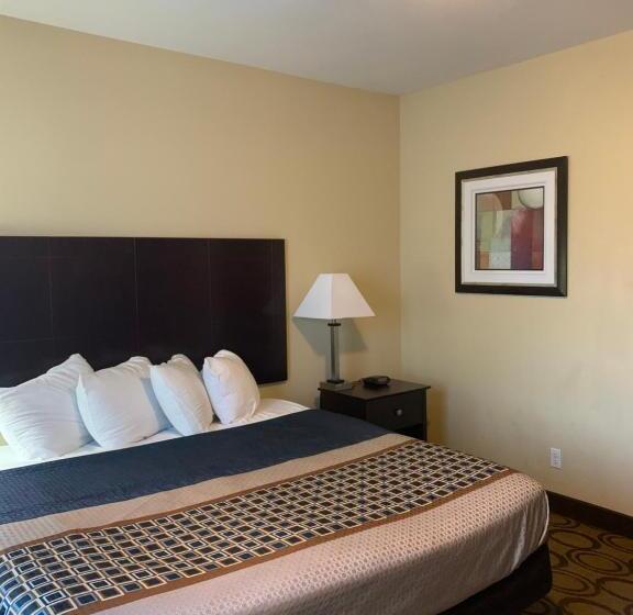 Стандартный Номер Кровать Кинг, Rodeway Inn & Suites