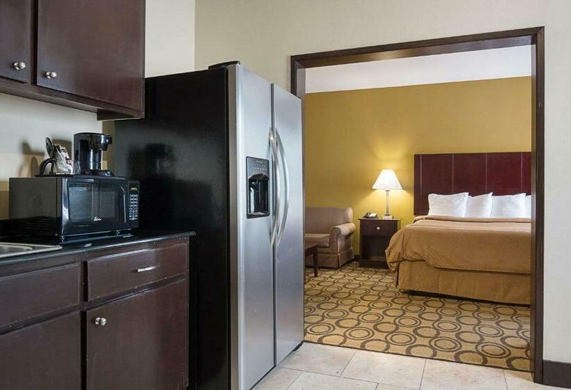 Стандартный Номер Кровать Кинг, Rodeway Inn & Suites