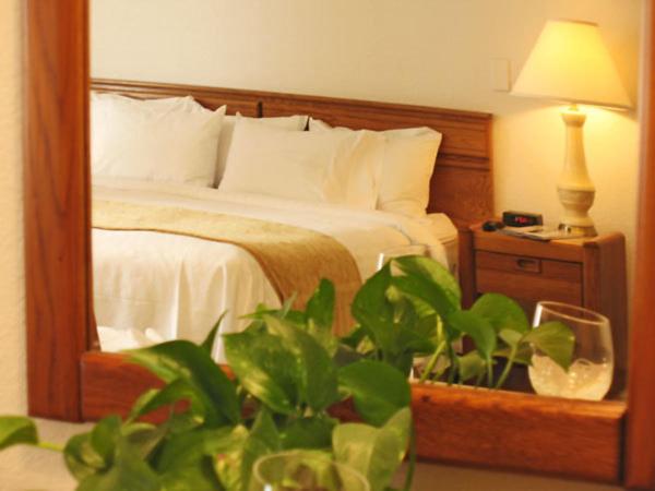 Стандартный Номер Кровать Кинг, Rosemont Suites