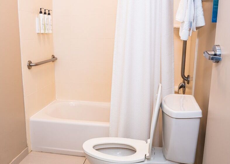 Люкс, Springhill Suites By Marriott San Antonio Alamo Plaza/convention Center
