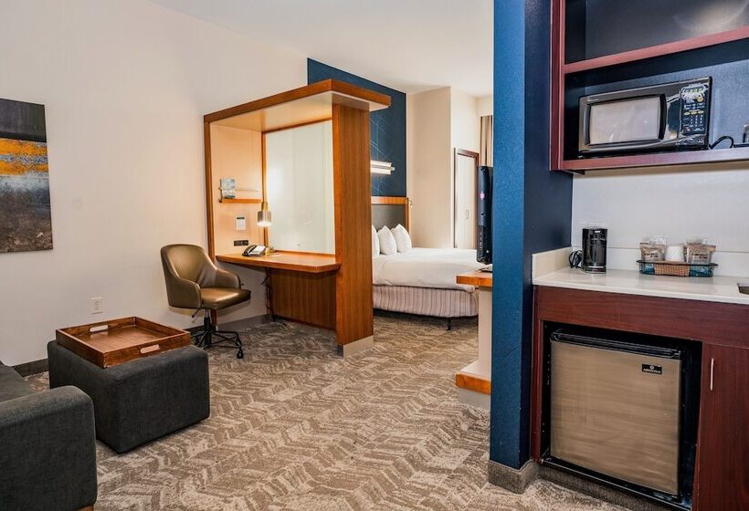 Люкс, Springhill Suites By Marriott San Antonio Alamo Plaza/convention Center