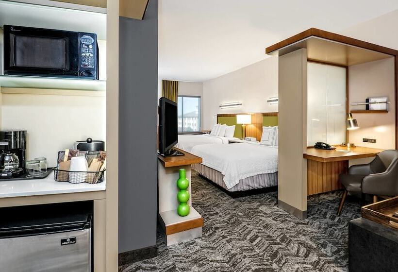 Номер Стандарт, Springhill Suites By Marriott San Antonio Seaworld®/lackland