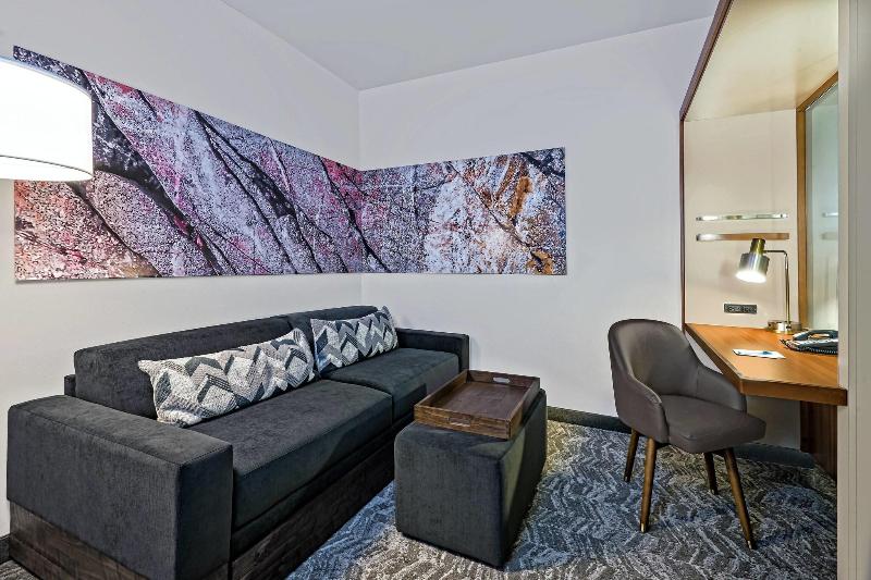 Номер Стандарт, Springhill Suites By Marriott San Antonio Seaworld®/lackland