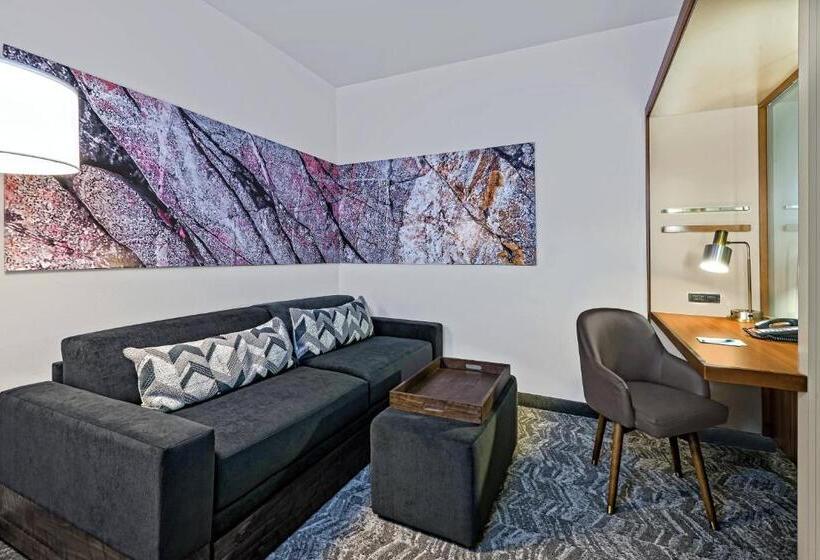 Студио Стандарт Кровать Кинг, Springhill Suites By Marriott San Antonio Seaworld®/lackland