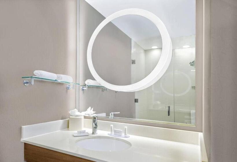 Номер Стандарт Верхний Этаж, Springhill Suites By Marriott San Antonio Seaworld®/lackland