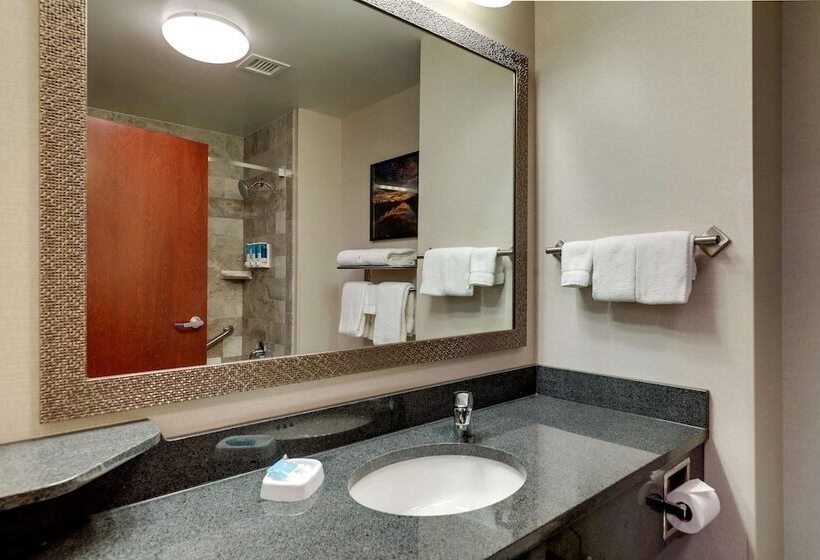 디럭스 룸, Drury Inn & Suites St. Louis Arnold