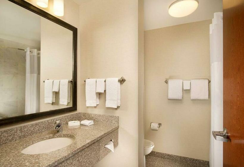 Номер Deluxe Кровать Кинг, Drury Plaza Hotel Valdosta