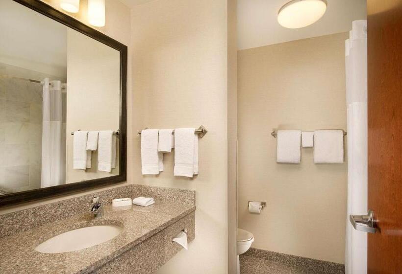Номер Deluxe Адаптированный для Инвалидов, Drury Plaza Hotel Valdosta