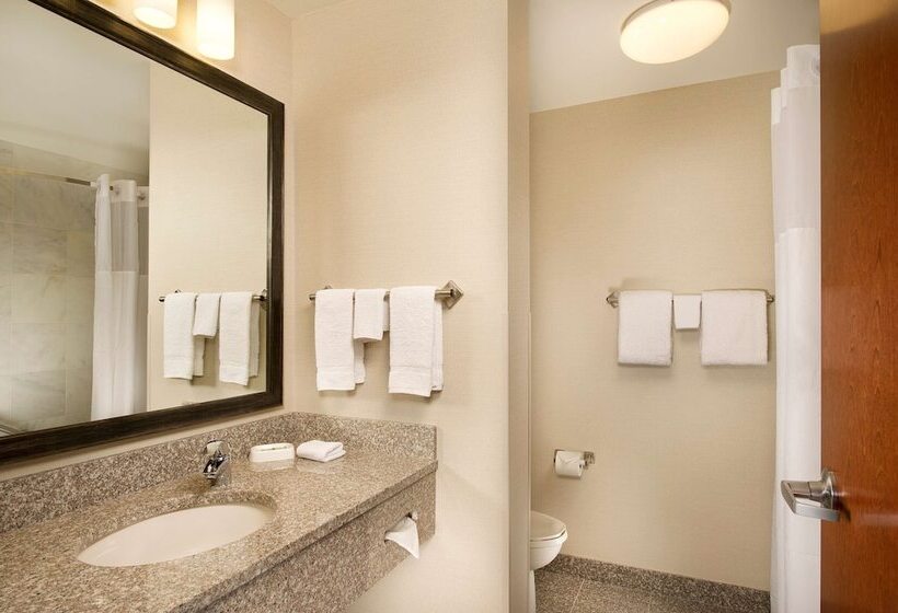 Люкс Адаптированный для Инвалидов, Drury Plaza Hotel Valdosta
