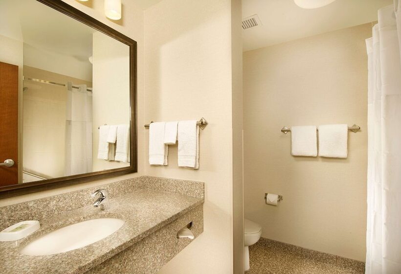 Номер Deluxe Адаптированный для Инвалидов, Drury Plaza Hotel Denver Westminster