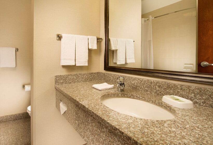 Номер Deluxe, Drury Inn & Suites Orlando Near Universal Orlando Resort