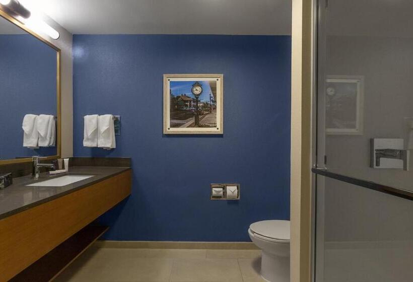 스탠다드 룸 킹사이즈 침대, Fairfield Inn & Suites Elizabeth City