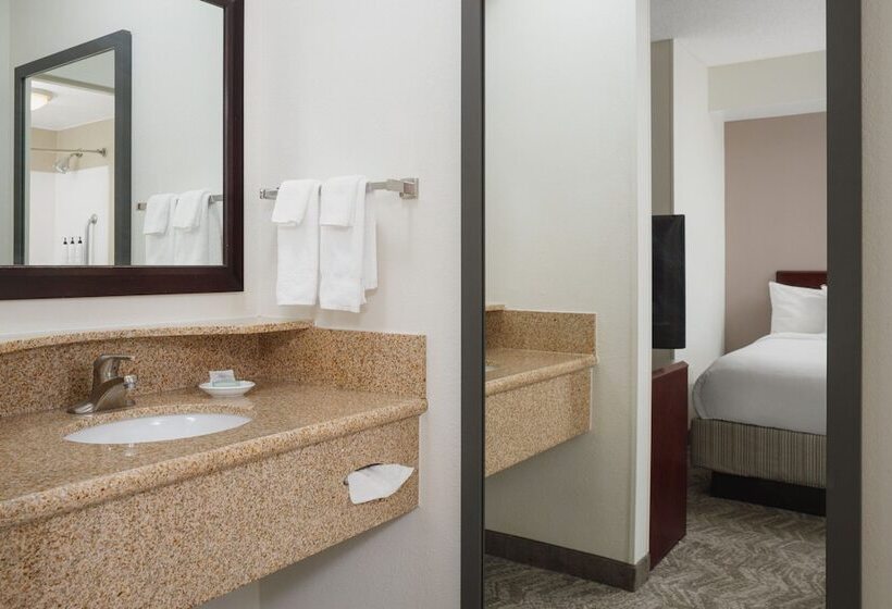 Люкс, Springhill Suites Knoxville At Turkey Creek