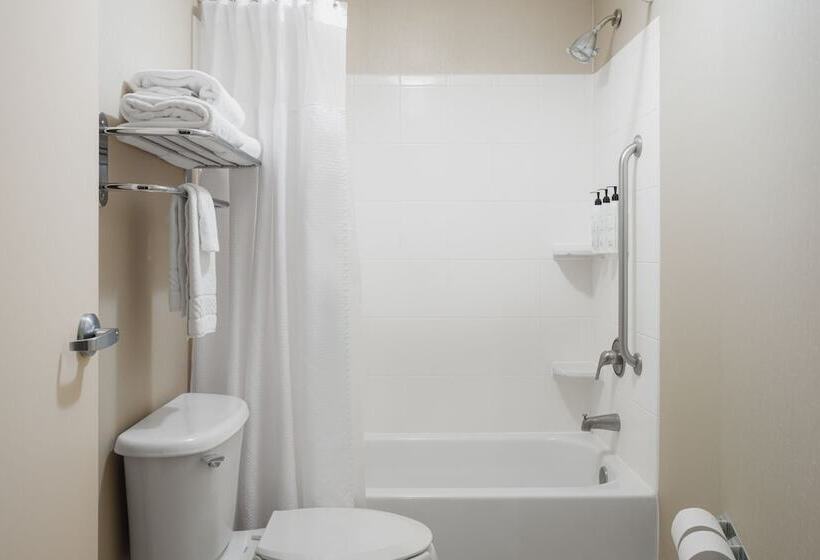 Люкс Адаптированный для Инвалидов, Springhill Suites Knoxville At Turkey Creek