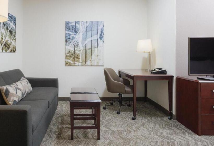 Люкс, Springhill Suites Knoxville At Turkey Creek