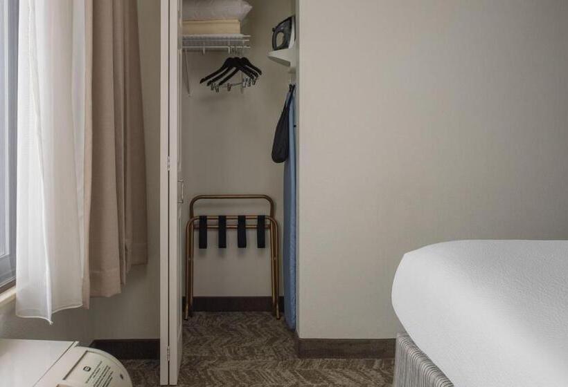 Студио Стандарт Кровать Кинг, Springhill Suites Knoxville At Turkey Creek