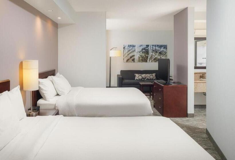 Люкс Адаптированный для Инвалидов, Springhill Suites Knoxville At Turkey Creek