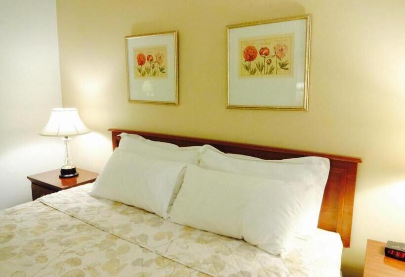 带大床的标准间, Gorham Motor Inn
