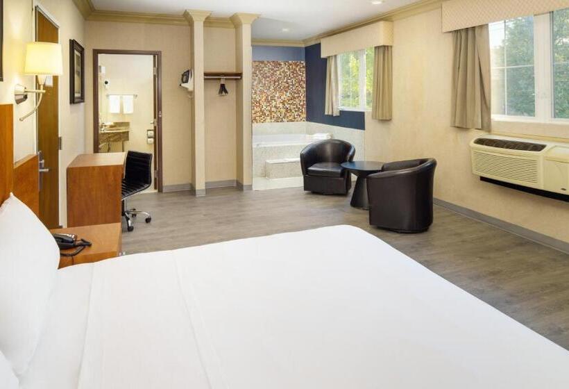 豪华套房, Skyview Motel