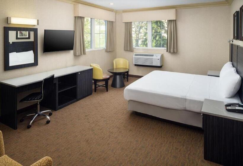 디럭스 스위트, Skyview Motel