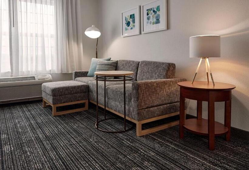 Студия Стандарт, Towneplace Suites Medford