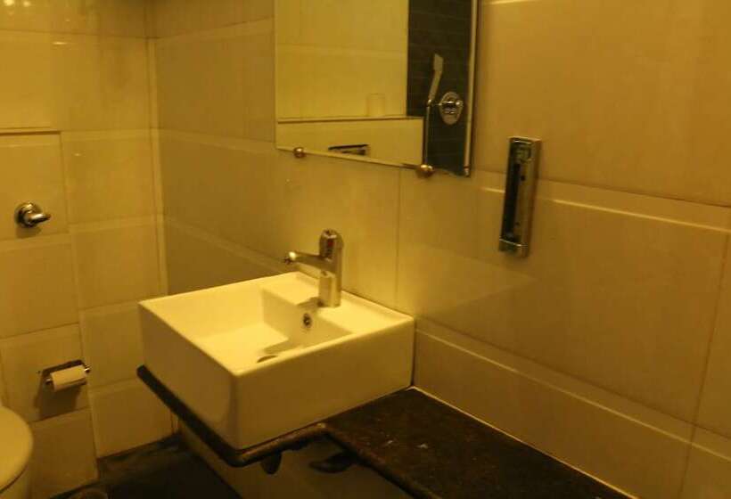 Номер Deluxe, Delhi Airport Plaza