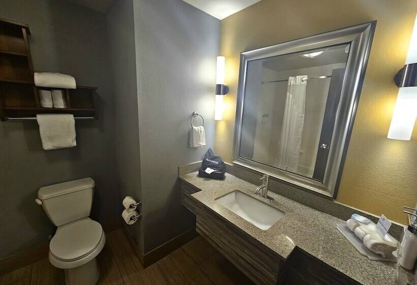 스위트, Holiday Inn Express & Suites Perry National Fairground Area, An Ihg
