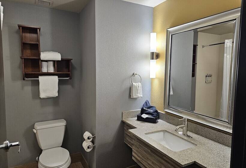 장애인을 위한 스위트, Holiday Inn Express & Suites Perry National Fairground Area, An Ihg