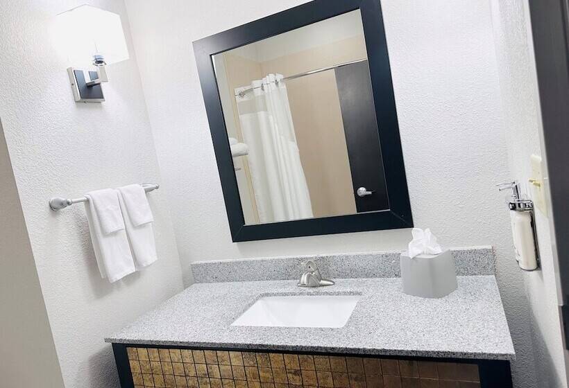 スタンダードルーム, Holiday Inn Express & Suites Houston East   Baytown By Ihg