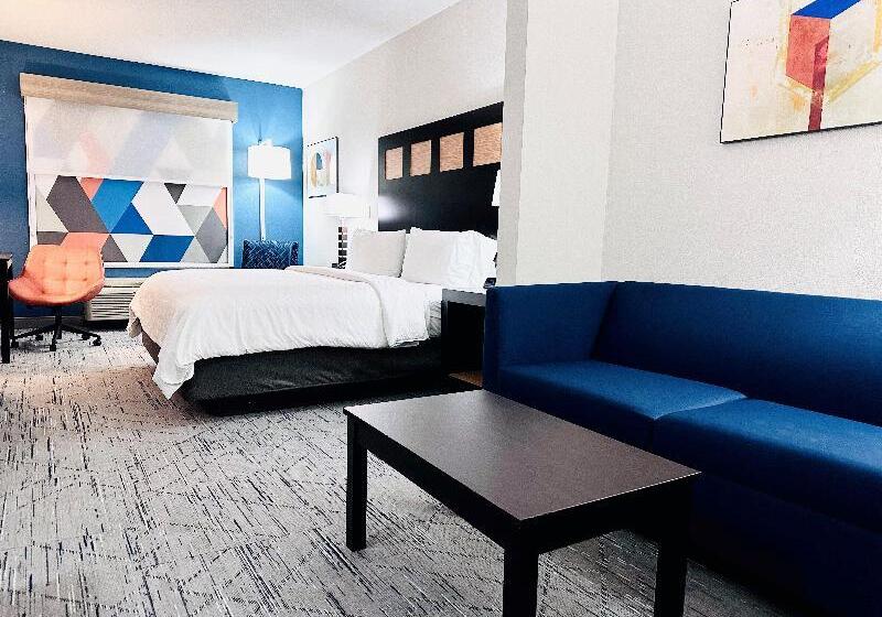 身障者適用キングサイズベッドルーム, Holiday Inn Express & Suites Houston East   Baytown By Ihg