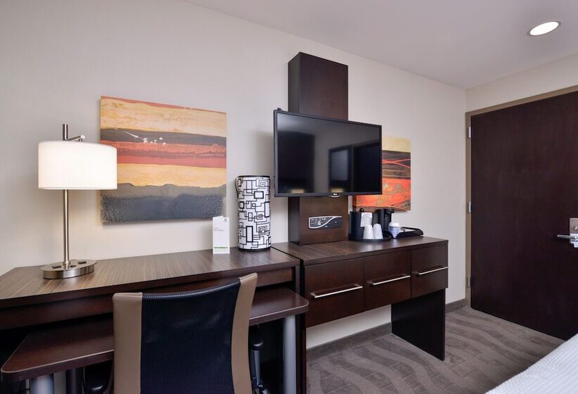 Номер Стандарт 2 Двуспальные Кровати, Holiday Inn New Yorkjfk Airport Area
