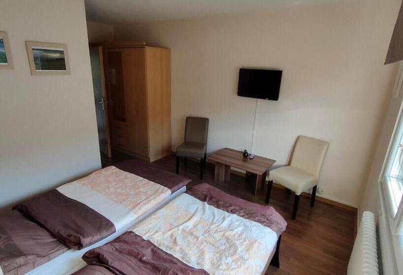 标准间, Pension Sauerland
