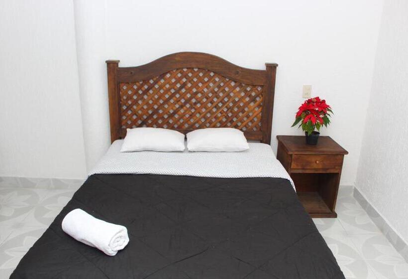 Chambre Standard, Alejandra