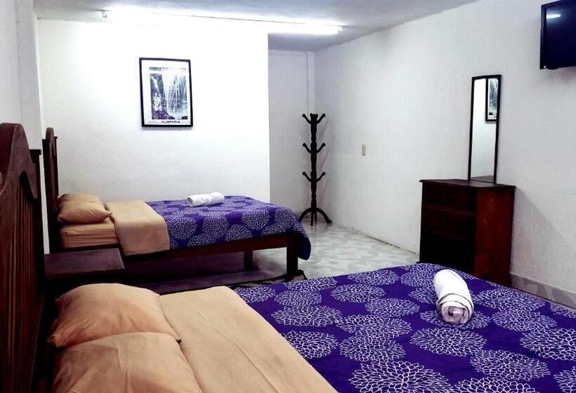 Chambre Quadruple Standard, Alejandra