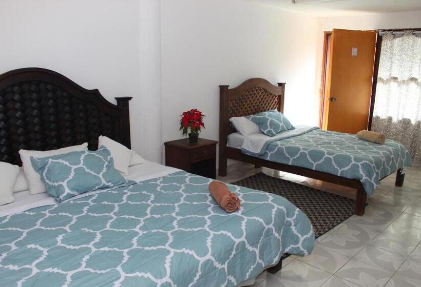 Chambre Quadruple Standard, Alejandra