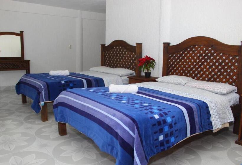 Chambre Familiale, Alejandra