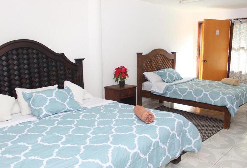 Chambre Quadruple Standard, Alejandra