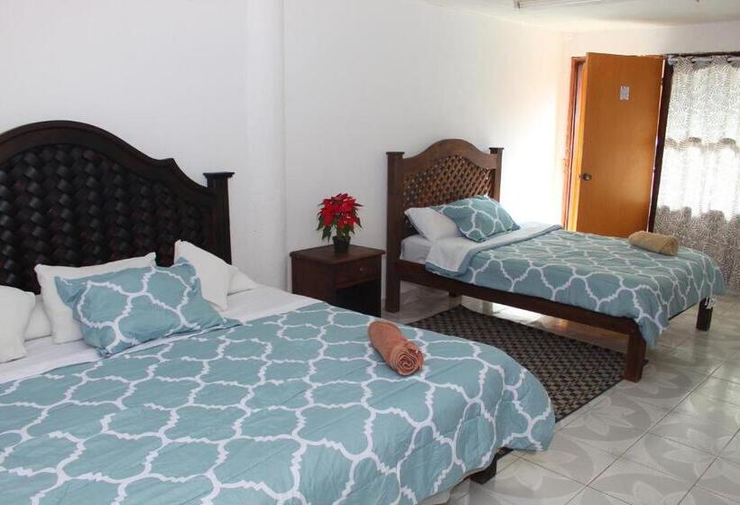 Chambre Quadruple Standard, Alejandra