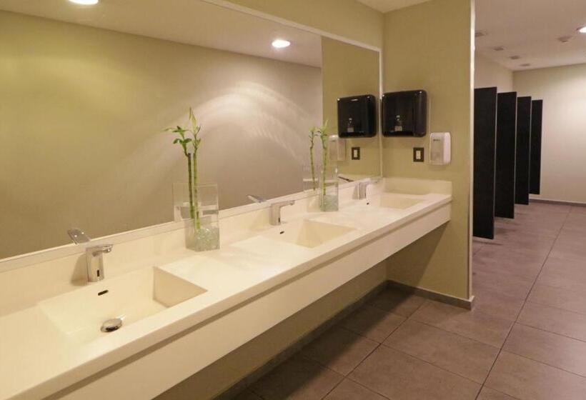 Люкс, City Express Suites By Marriott Ciudad De México Santa Fe