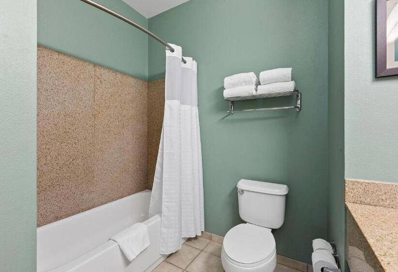 Люкс Кровать Кинг, Extended Stay America Premier Suites  Lakeland  I4