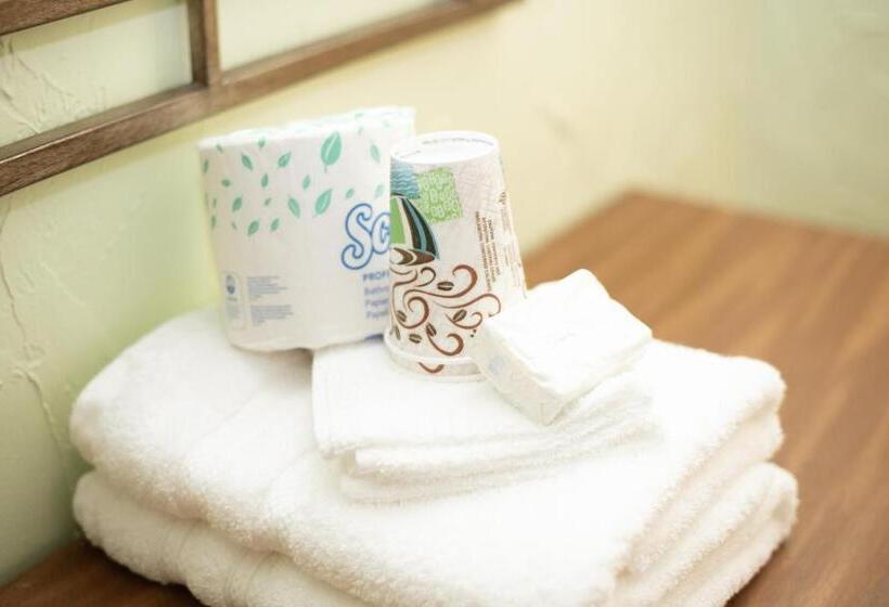スタンダードルーム, Evernia