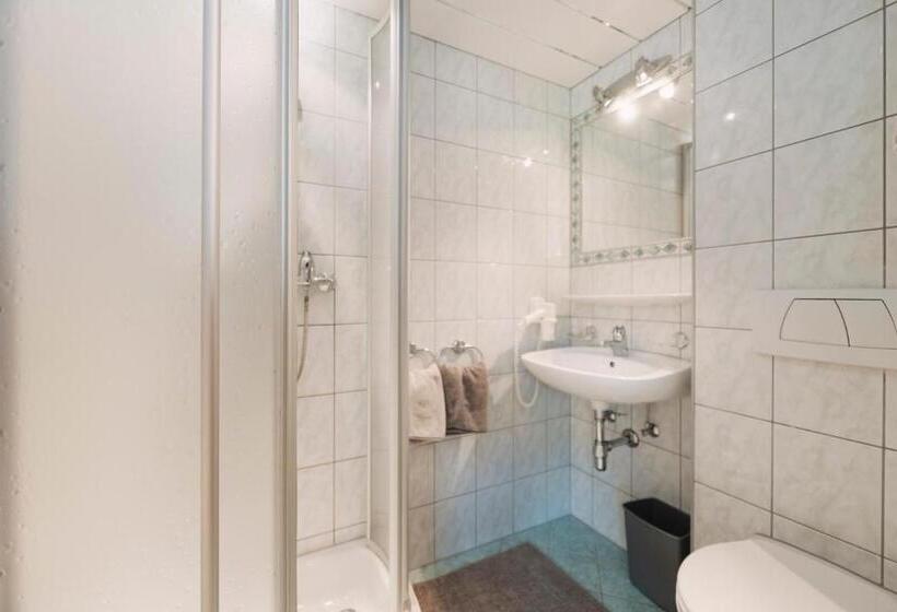 Номер Стандарт с Балконом, Berghotel Bodenalpe