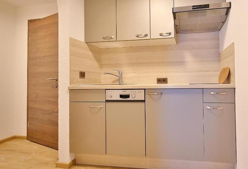 침실 1개 아파트, Garni Fiegl Apart