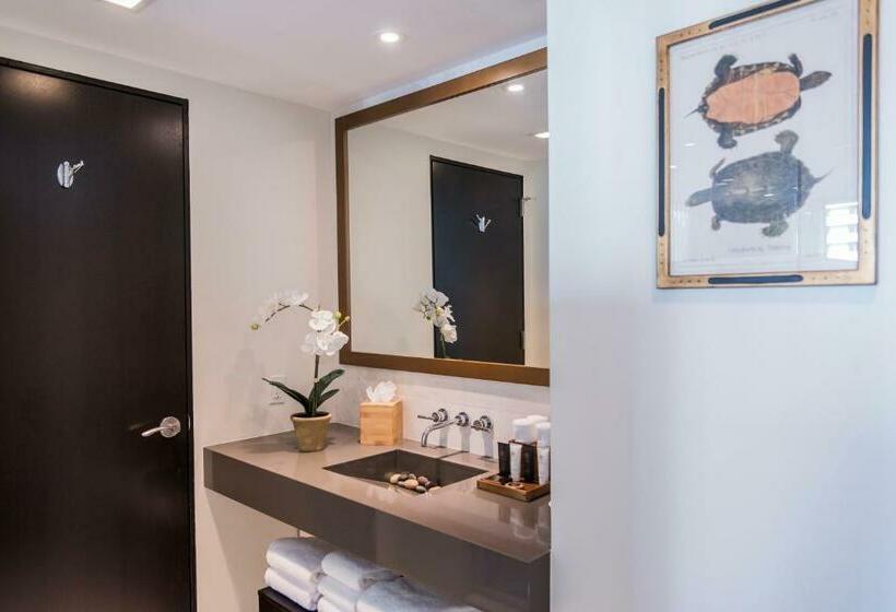 Premium-huone, Iberostar Waves Berkeley Shore