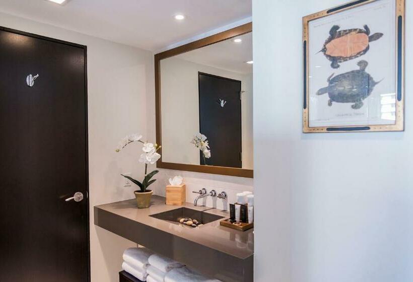 Premium-huone, Iberostar Waves Berkeley Shore