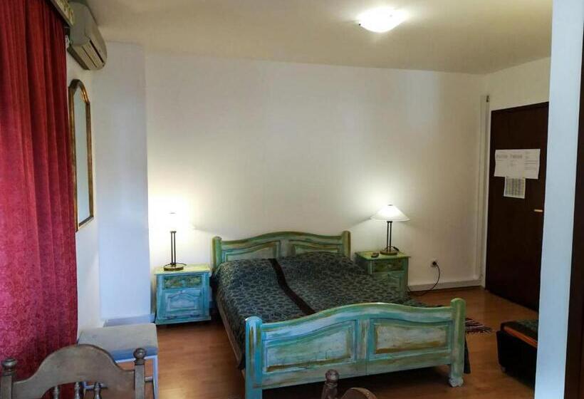 Студия Стандарт, Guest House Pikala