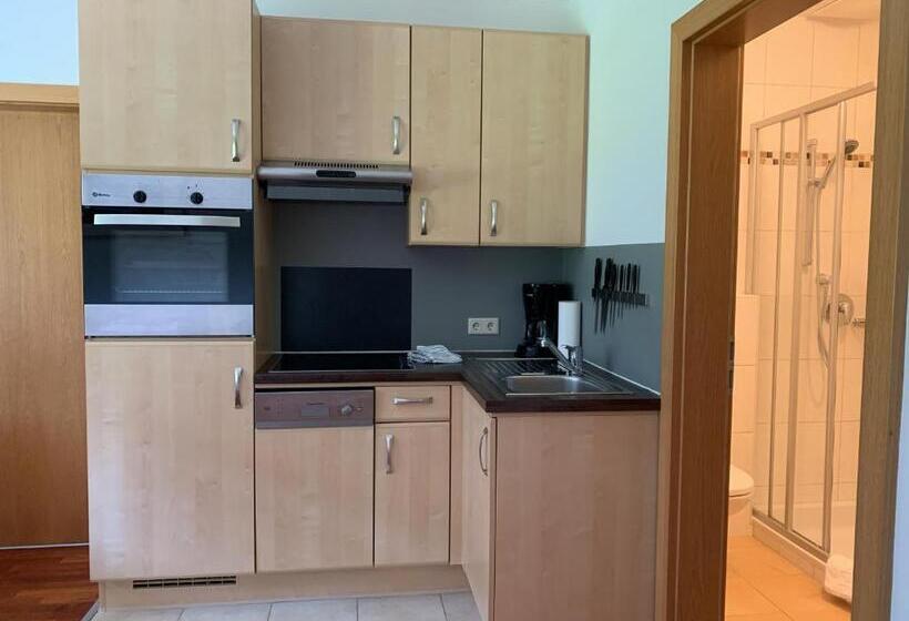 低层单卧公寓, Die Filzmooserin Apartments