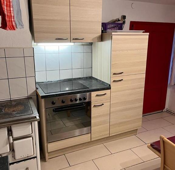 Апартаменты 1 Спальня Нижний Этаж, Ferienwohnung Bauernhaus Untermoas