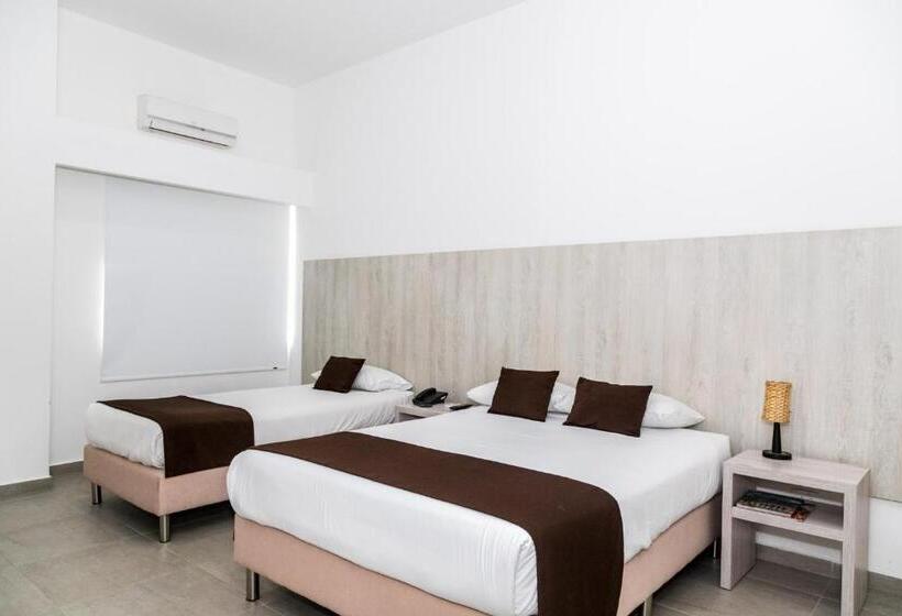 Quarto Triplo Estandar, Palma Verde