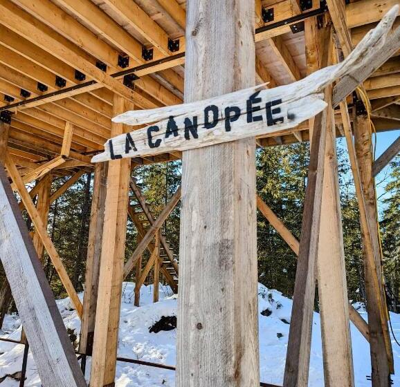 Номер Стандарт, Entre Lemoine Et L Arbre